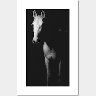 HORSE Posters and Art